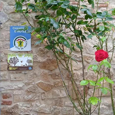 Bed and Breakfast L'oree De La Gresigne Cordes Sur Ciel