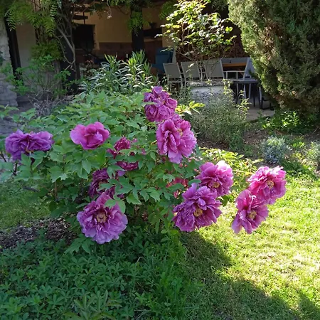 L'oree De La Gresigne